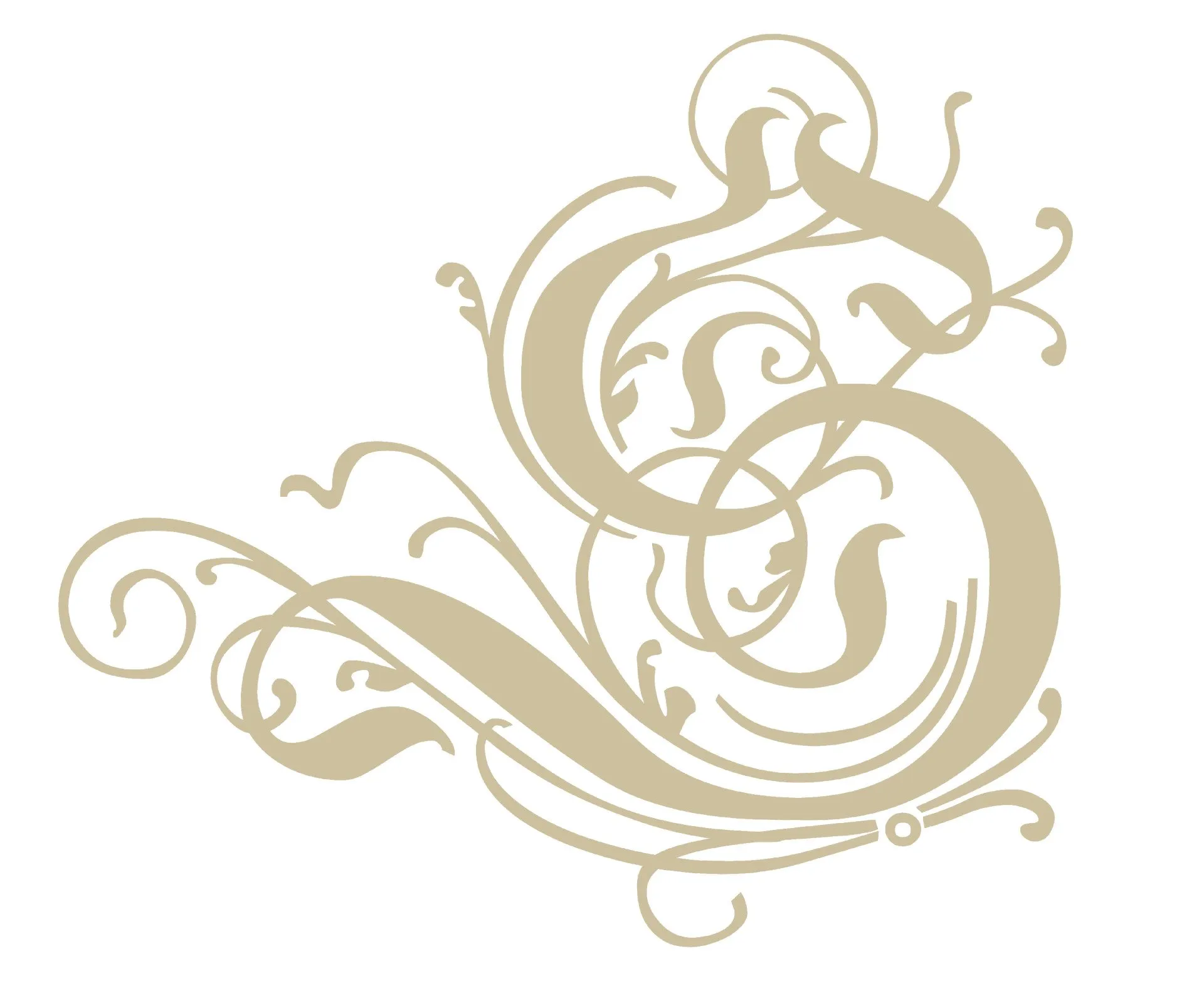 VolutesS-1920w.webp